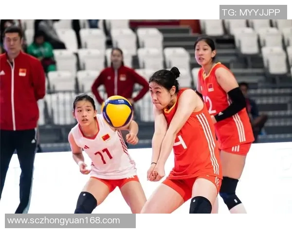 排球力量排行榜揭晓北京排球队荣登第五名展现强劲实力