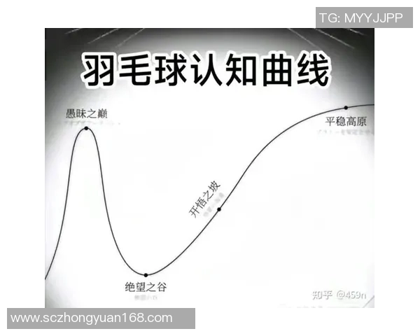 吴静独家分享羽毛球技巧与心得助你提升球技的全攻略