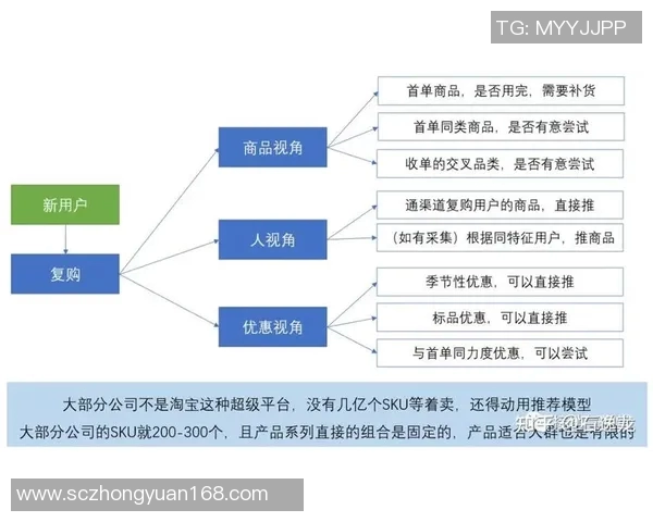 深圳排球队的运营揭秘：深度分析与发展策略探讨
